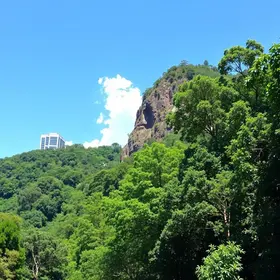 São Paulo Ecotourism Guide: Practical Tips for Visitors