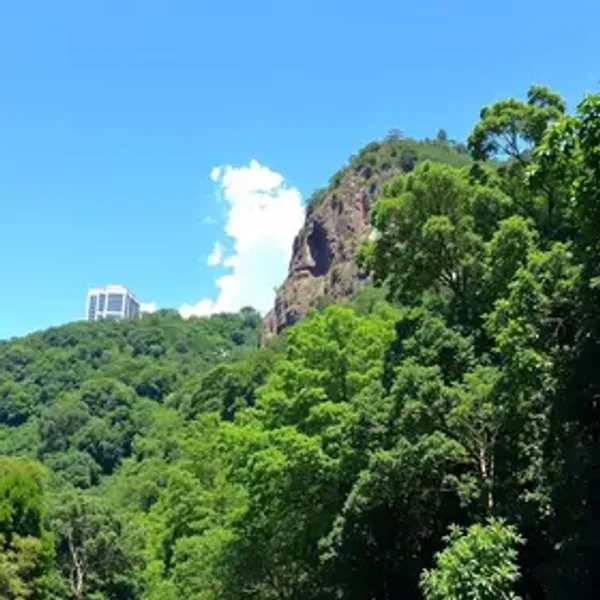 São Paulo Ecotourism Guide: Practical Tips for Visitors