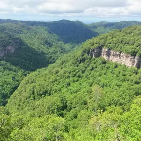 How to Get to Cantareira State Park: Best Routes, Costs and Safety Tips