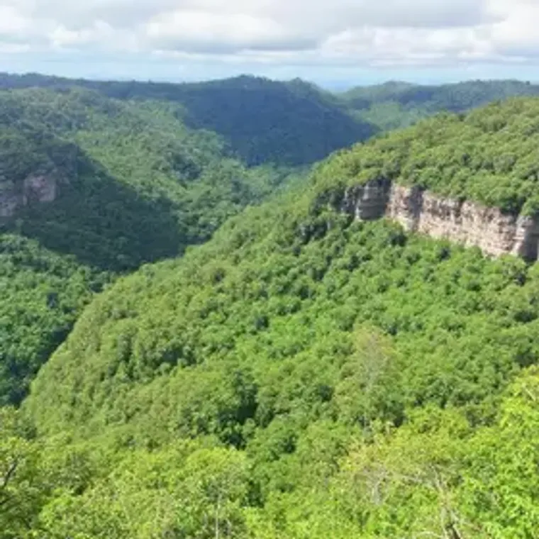 How to Get to Cantareira State Park: Best Routes, Costs and Safety Tips