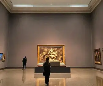 São Paulo Museum Guide: Practical Tips for Visitors