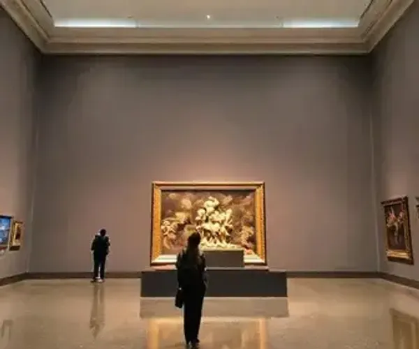 São Paulo Museum Guide: Practical Tips for Visitors