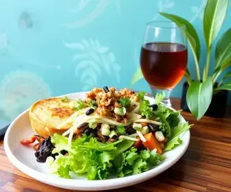Best Vegan Restaurants in São Paulo: Top Picks and Visitor Tips