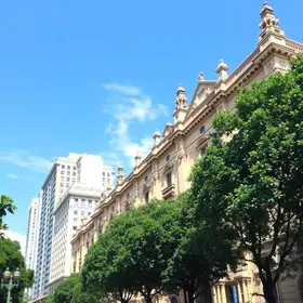 Local Things to do in São Paulo: Practical Visitor Guide