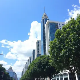 São Paulo in July: Weather, Events and Things to Do