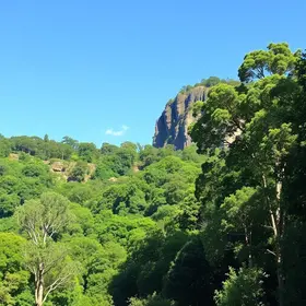 How to Get to Aclimação Park: Best Routes, Costs and Safety Tips