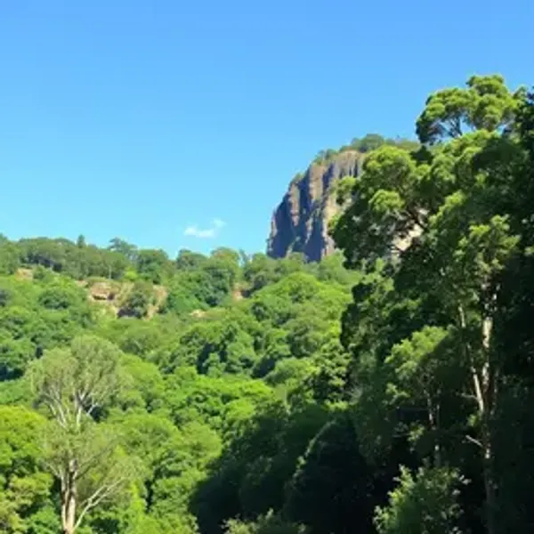 How to Get to Aclimação Park: Best Routes, Costs and Safety Tips