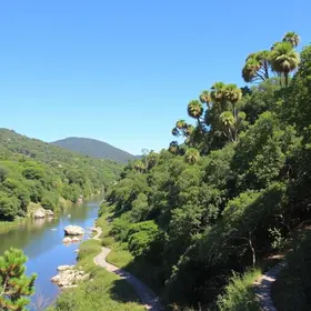 How to Get to Água Branca Park: Best Routes, Costs and Safety Tips