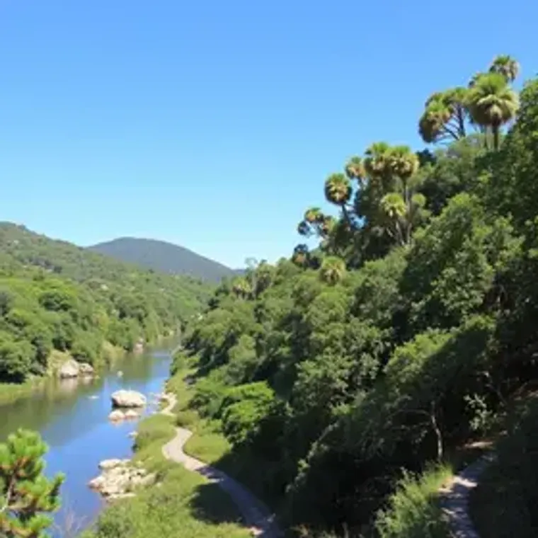 How to Get to Água Branca Park: Best Routes, Costs and Safety Tips
