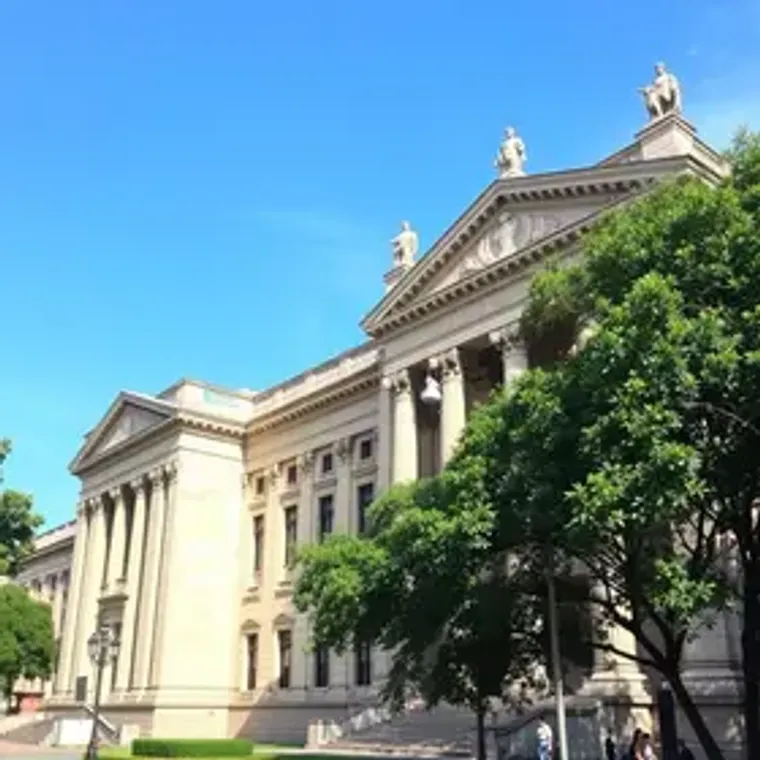São Paulo Museums Open on Sunday: Practical Visitor Guide