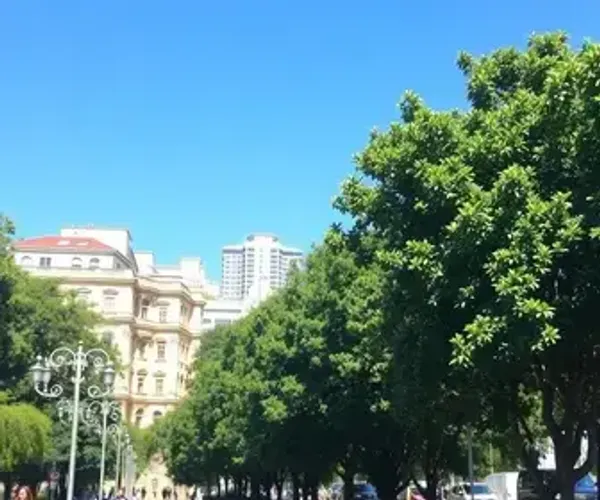 Walking Itinerary in Pinheiros: Route, Stops and Practical Tips