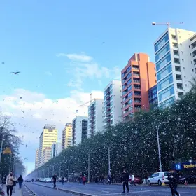 São Paulo in Winter: Weather, Events and Things to Do