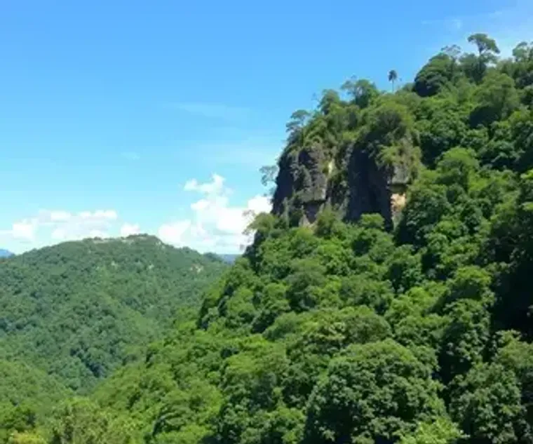 Best Nature Escapes Near São Paulo: Top Picks and Visitor Tips