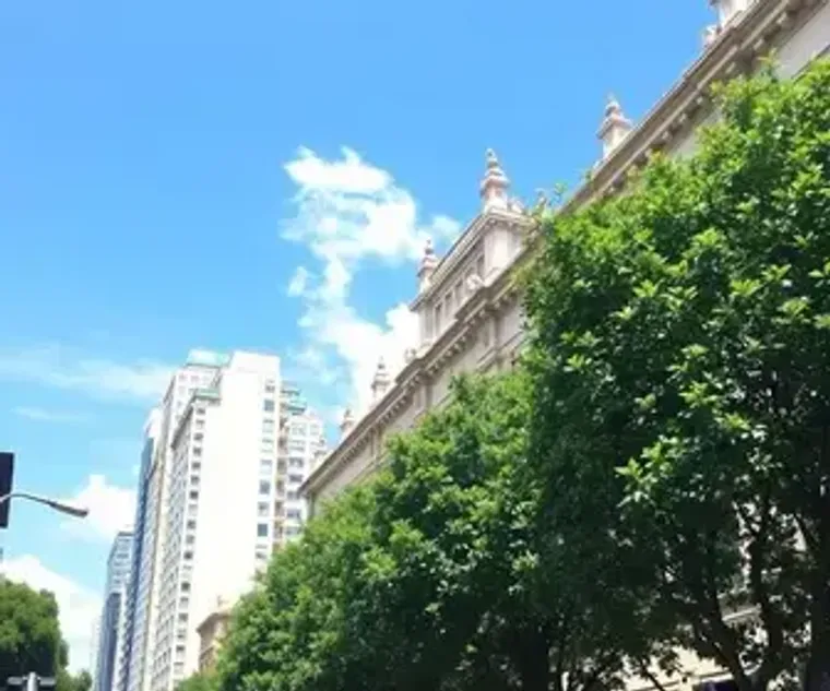 São Paulo Travel Essentials: Practical Visitor Guide
