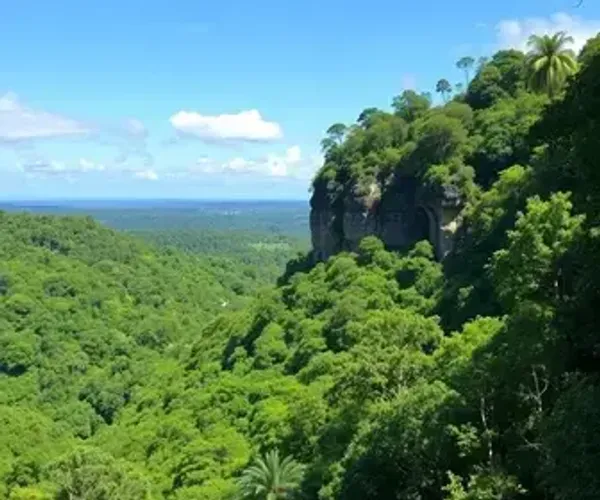 Cantareira State Park Guide: Practical Tips for Visitors