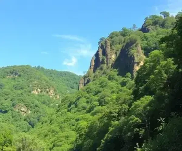 How to Get to Horto Florestal: Best Routes, Costs and Safety Tips