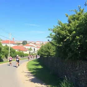 São Silvestre Race Travel Guide: Practical Tips for Visitors