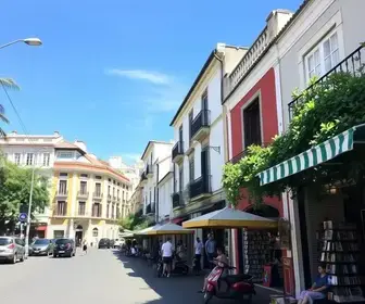 Best Stores in Vila Madalena: Top Picks and Visitor Tips