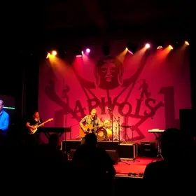 Best Live Music in Pinheiros: Top Picks and Visitor Tips