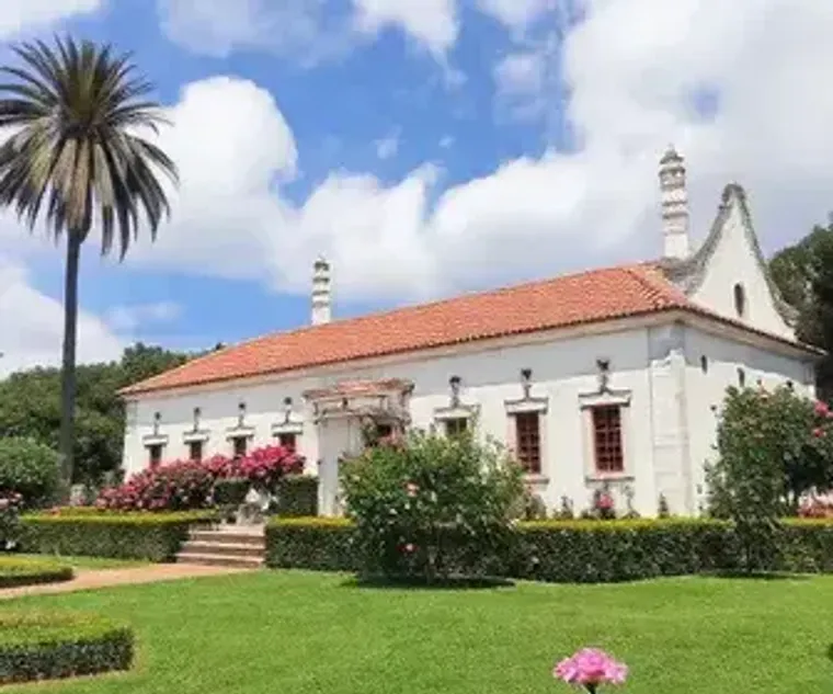 How to Visit Casa das Rosas: Timing, Transport and Visitor Tips