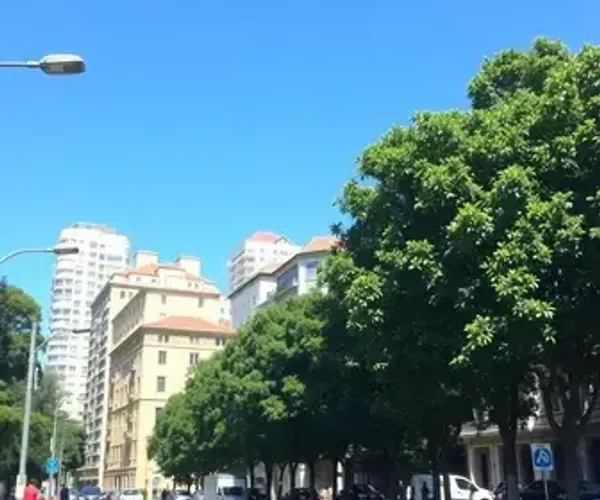 One Day in Pinheiros: Route, Stops and Practical Tips