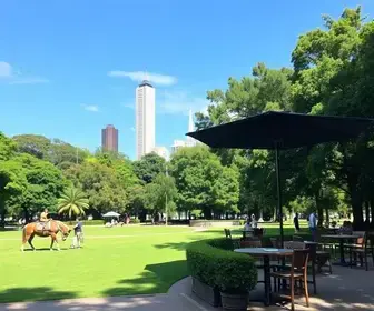 Best Restaurants Near Ibirapuera Park: Local Picks, Areas and What to Order