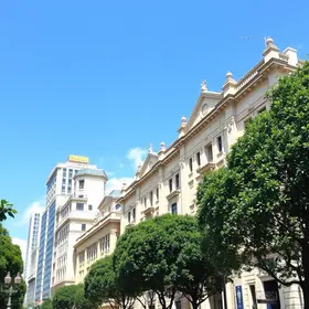 São Paulo Travel Guide with Map: Practical Tips for Visitors