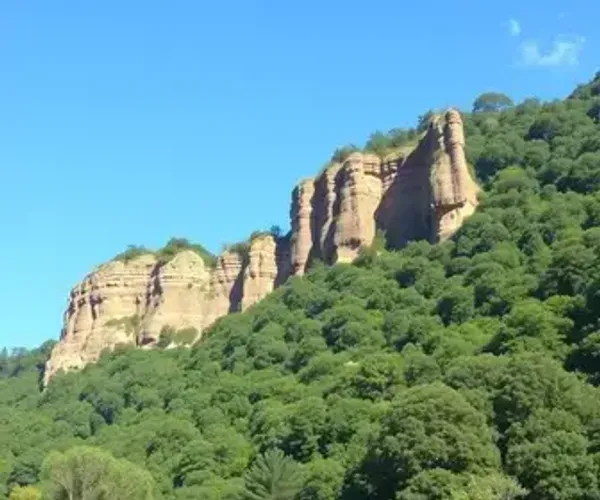 Higienópolis Guide: Practical Tips for Visitors