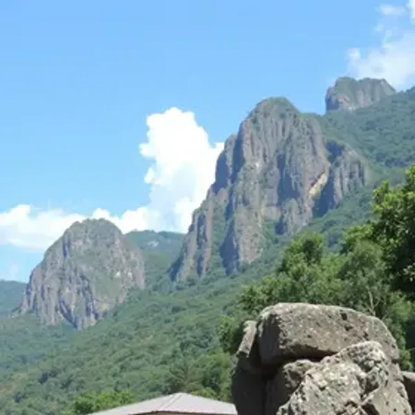 Is Moema Safe for Tourists? What Tourists Should Know
