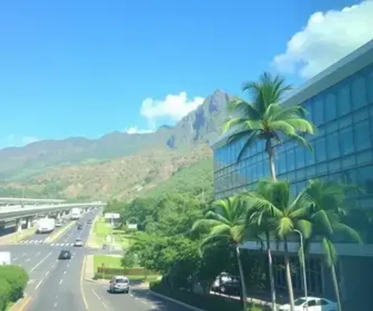 Hotels Near Congonhas Airport: Practical Transport Guide