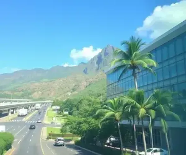 Hotels Near Congonhas Airport: Practical Transport Guide