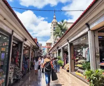 Best Shopping in Higienópolis: Top Picks and Visitor Tips