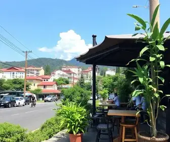 Best Cafes in Moema: Top Picks and Visitor Tips