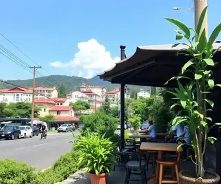 Best Cafes in Moema: Top Picks and Visitor Tips