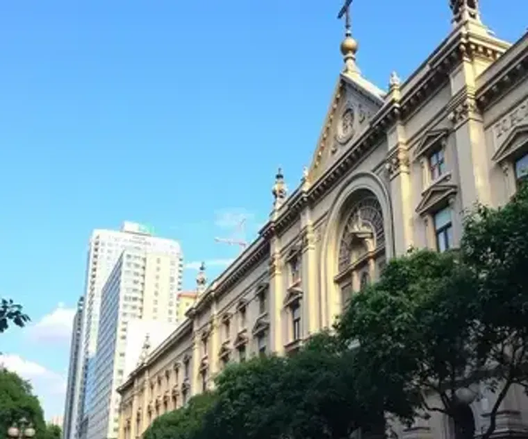 São Paulo Concert Guide: Practical Tips for Visitors