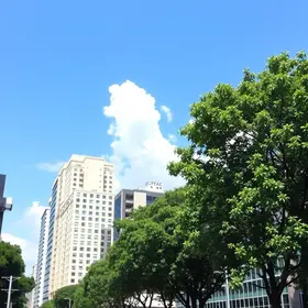 São Paulo Japanese Immigration Guide: Practical Tips for Visitors