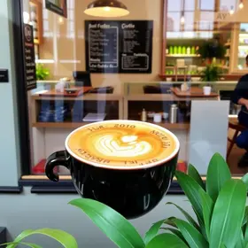 Best Cafes Near Avenida Paulista: Top Picks and Visitor Tips